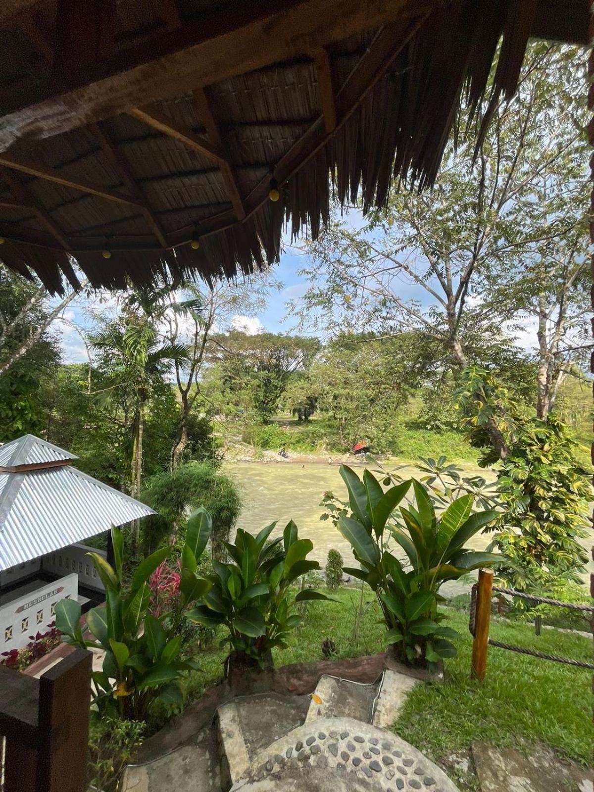 Asim Paris Guesthouse & Jungle Trekking Bukit Lawang Exterior foto