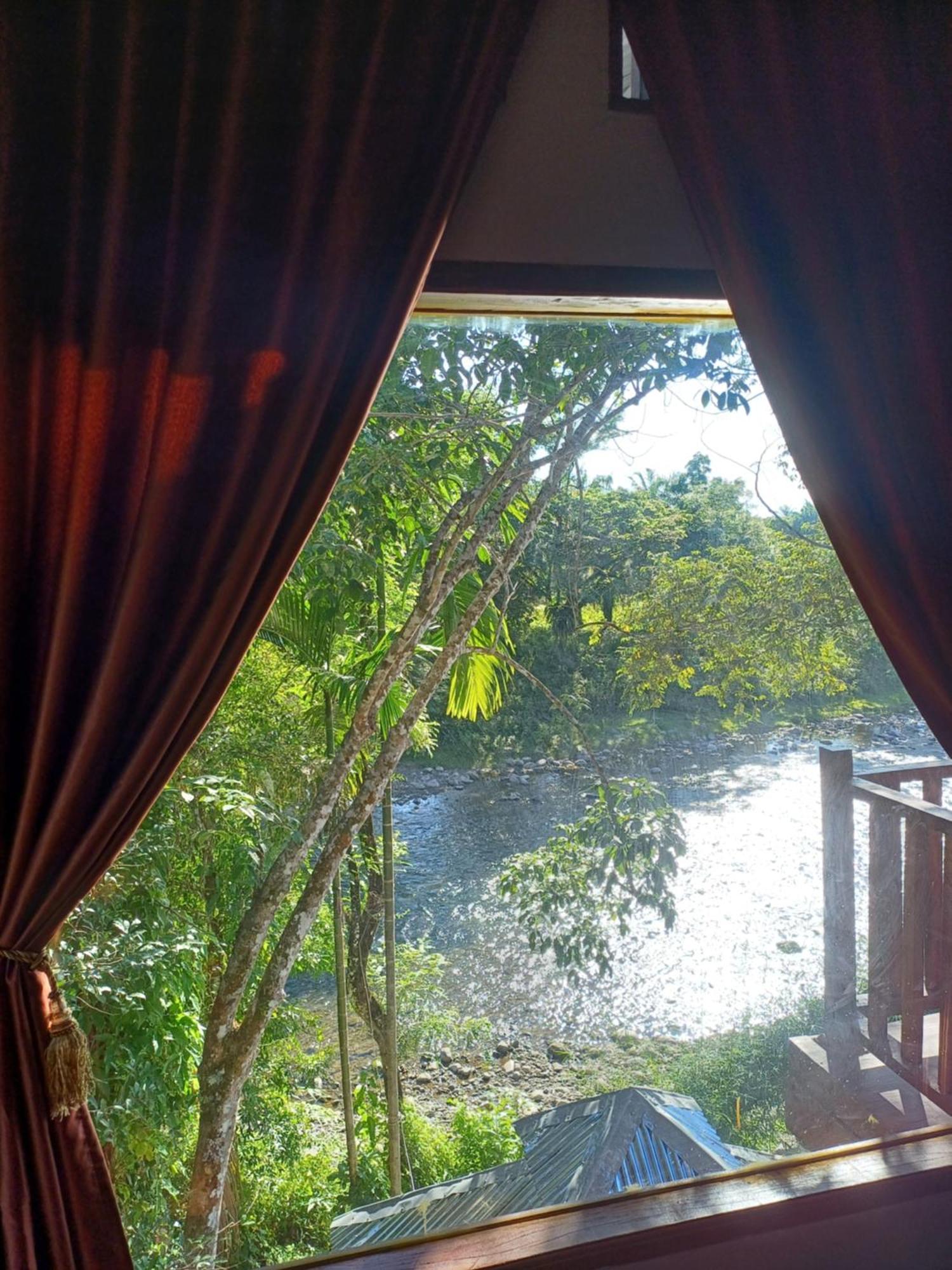Asim Paris Guesthouse & Jungle Trekking Bukit Lawang Exterior foto