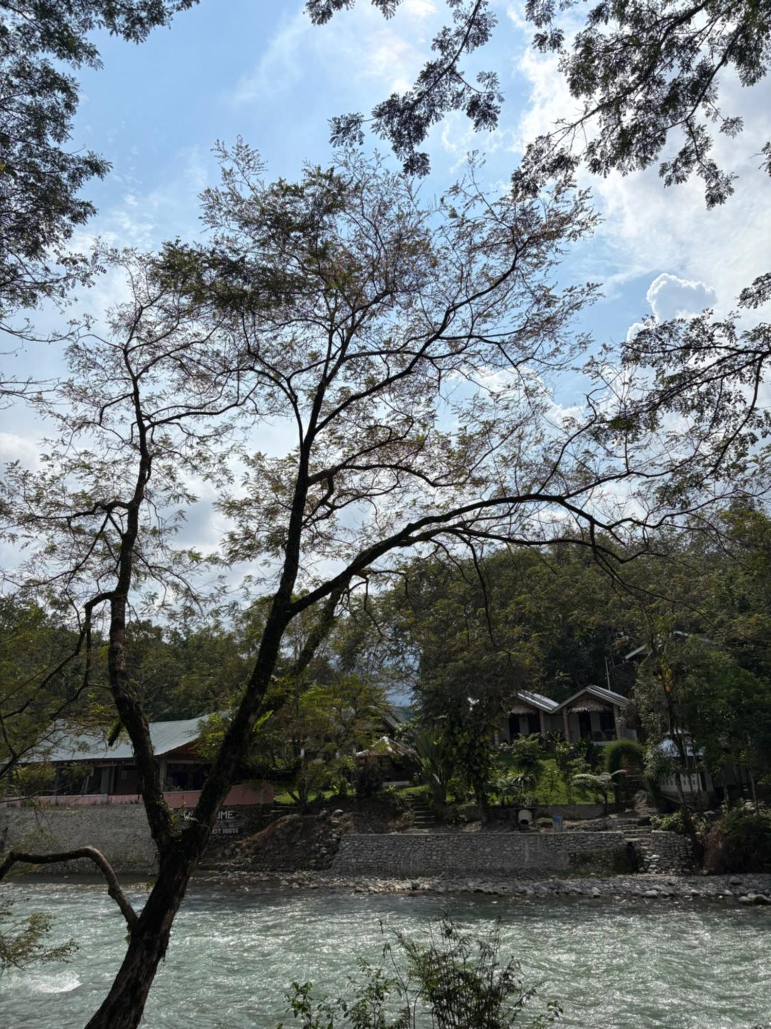 Asim Paris Guesthouse & Jungle Trekking Bukit Lawang Exterior foto