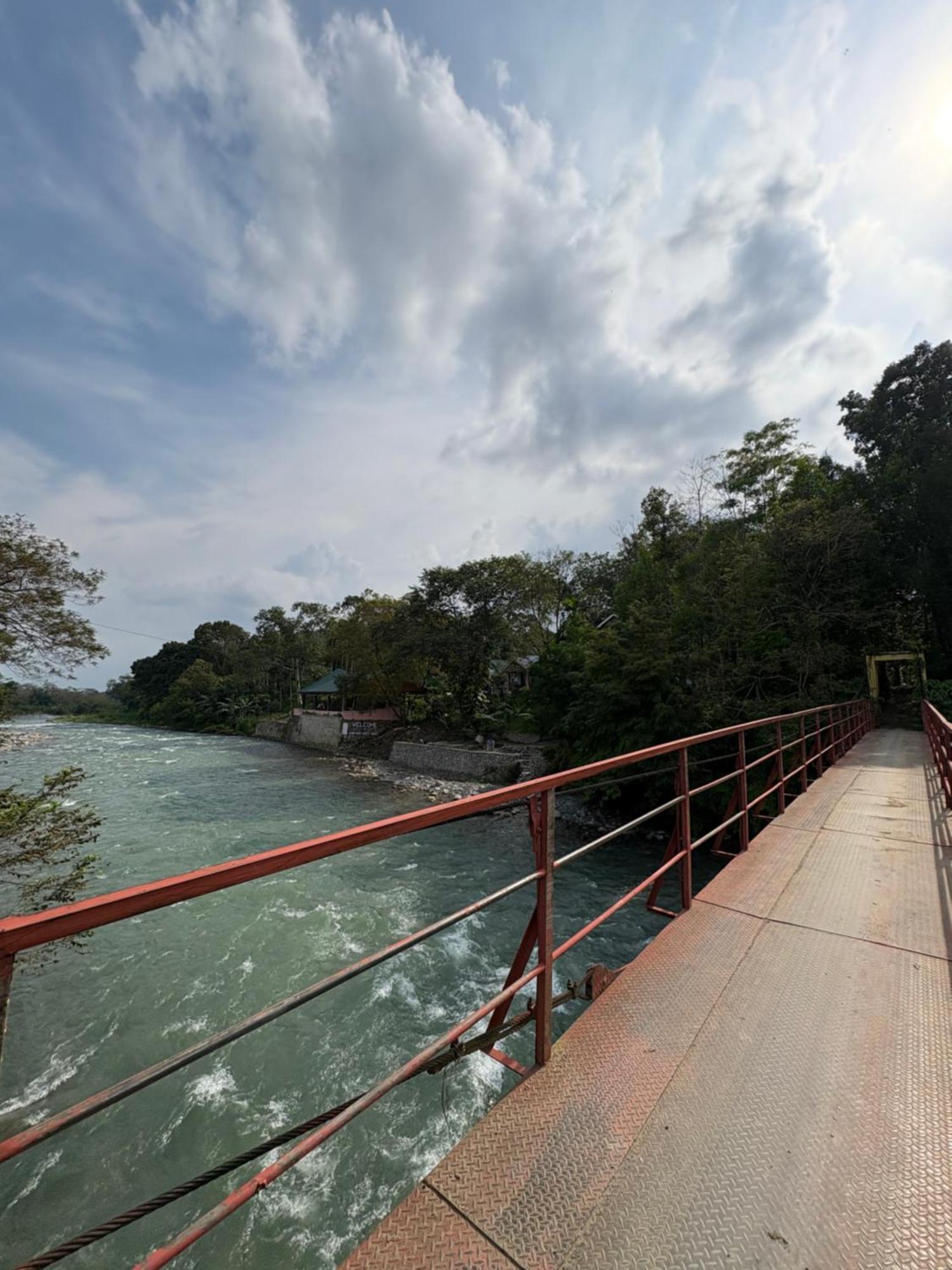 Asim Paris Guesthouse & Jungle Trekking Bukit Lawang Exterior foto